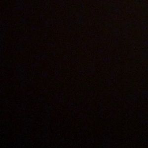 Meet your Posher, Isabella